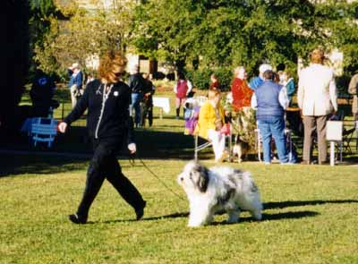 alex_ga1.jpg (33024 bytes)