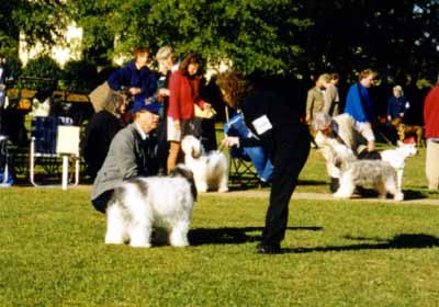 alex_ga2.jpg (28781 bytes)