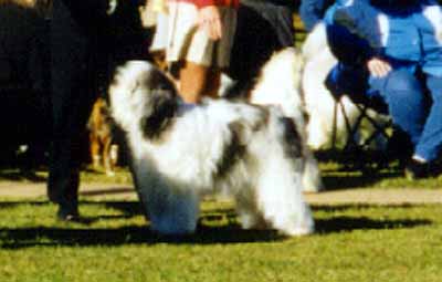 alex_ga3.jpg (19845 bytes)