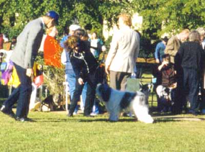 alex_ga4.jpg (29449 bytes)