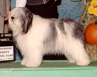 alex_manitowoc2.jpg (16588 bytes)