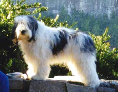 alex_mt.jpg (23448 bytes)