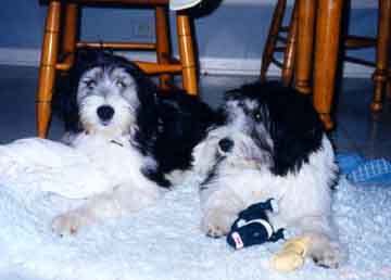 esther2.jpg (16049 bytes)