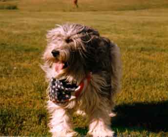 esther3.jpg (16203 bytes)