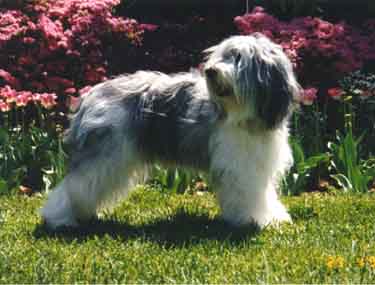 esther5.jpg (22124 bytes)