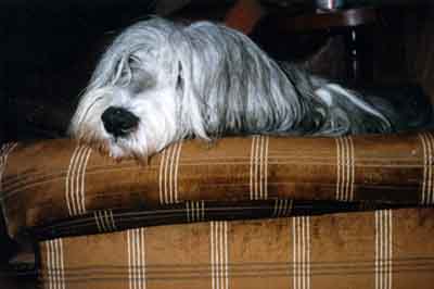 esther6.jpg (15566 bytes)