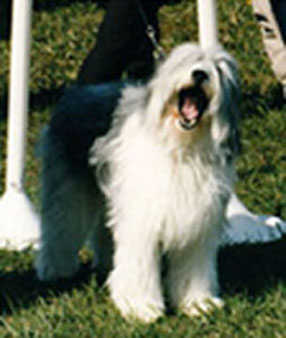 esther_laugh.jpg (13691 bytes)