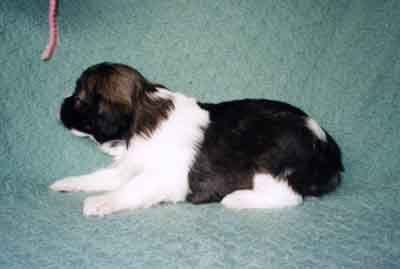 week4.12.jpg (12745 bytes)