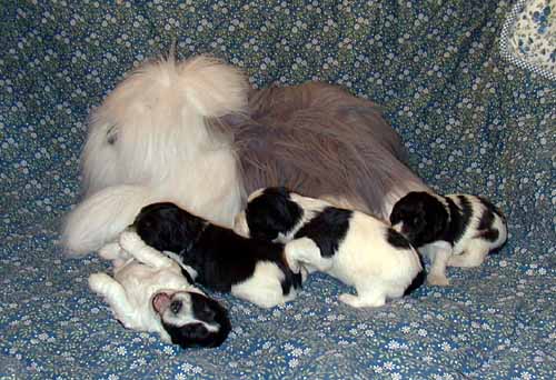 2week2.jpg (47192 bytes)