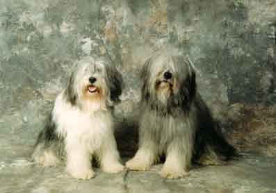 wally_esther3.jpg (15426 bytes)