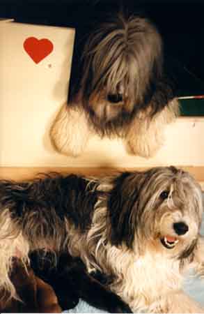 wally_esther4.jpg (18168 bytes)